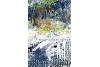 Ekslibris İlker Canbaz, 95x60mm